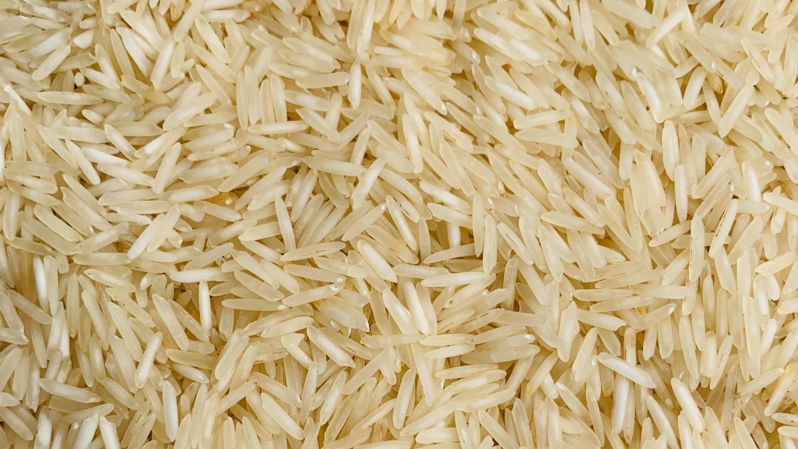 شپشک برنج از چی بدش میاد
